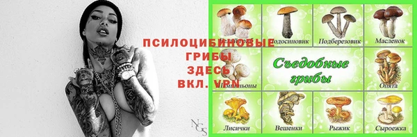 прущие грибы Каменногорск