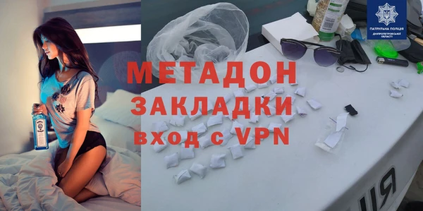 прущие грибы Каменногорск