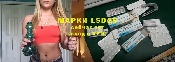 прущие грибы Каменногорск