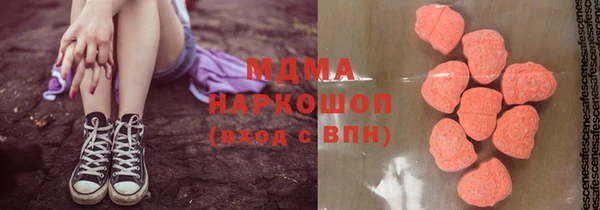 прущие грибы Каменногорск