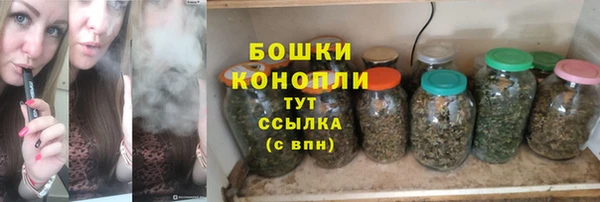 прущие грибы Каменногорск