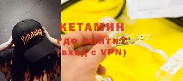 прущие грибы Каменногорск