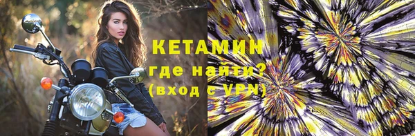 прущие грибы Каменногорск