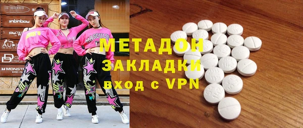прущие грибы Каменногорск