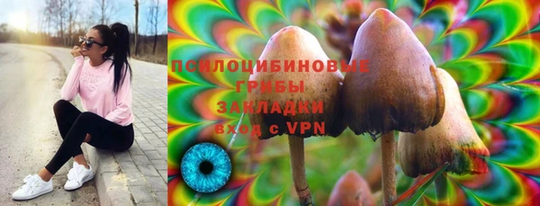 прущие грибы Каменногорск
