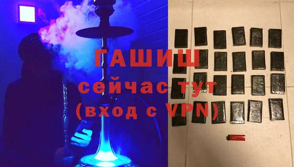 прущие грибы Каменногорск