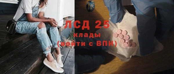 прущие грибы Каменногорск