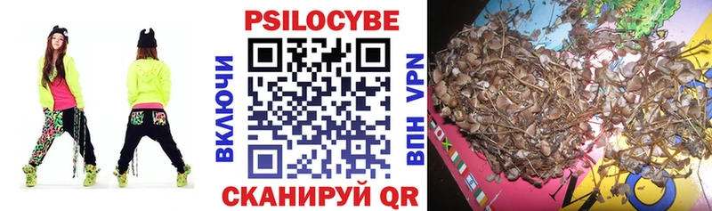 Галлюциногенные грибы GOLDEN TEACHER  Купить закладки  Билибино 